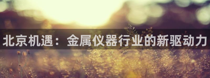 电子游戏传奇电子CQ9：北京机遇：金属仪器行业的新驱动力