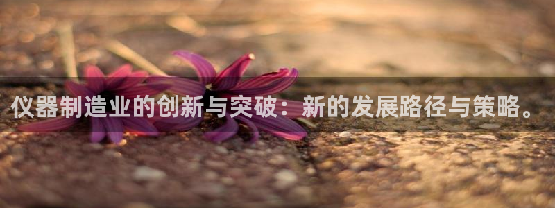 cq9电子手舞：仪器制造业的创新与突破：新的发展路径与策略。