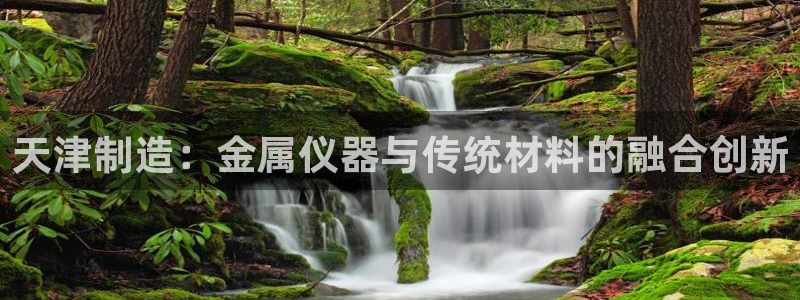 cq9电子忍者浣熊：天津制造：金属仪器与传统材料的融合创新