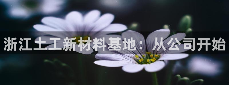 电子cq9金鲨银鲨：浙江土工新材料基地：从公司开始
