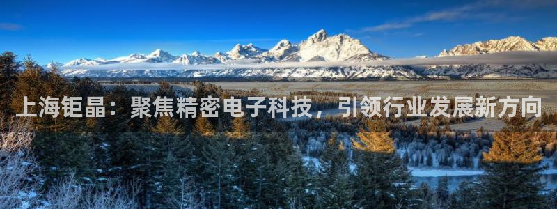 cq9电子金沙：上海钜晶：聚焦精密电子科技，引领行业发展新方