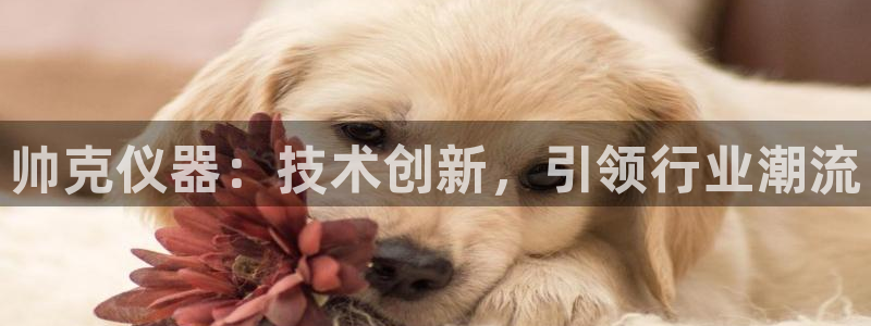 cq9电子试玩链接：帅克仪器：技术创新，引领行业潮流