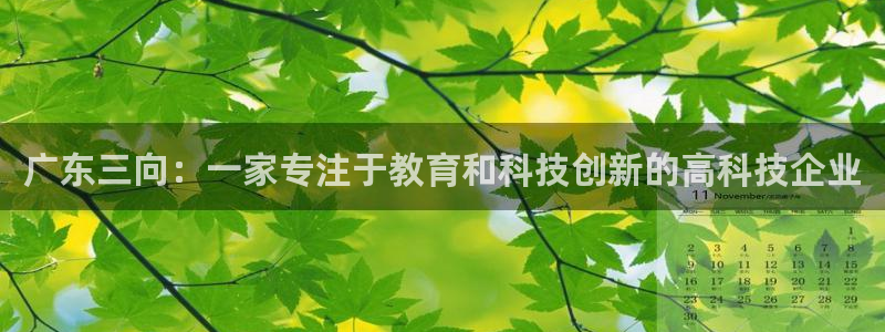 cq9电子接入：广东三向：一家专注于教育和科技创新的高科技企