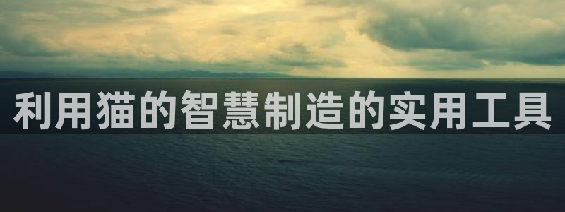 cq9电子有控制吗：利用猫的智慧制造的实用工具