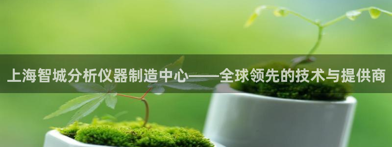 cq9电子娱乐平台在线：上海智城分析仪器制造中心——全球领先