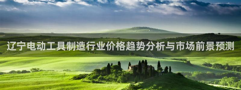 cq9电子卡免费：辽宁电动工具制造行业价格趋势分析与市场前景