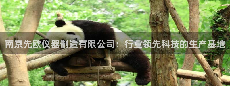 cq9电子艺游：南京先欧仪器制造有限公司：行业领先科技的生产