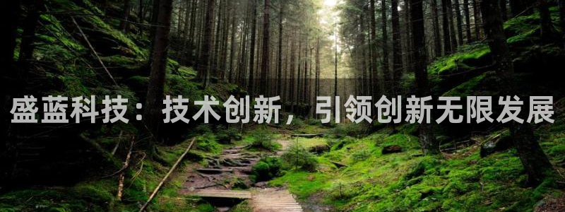 cq9电子满屏：盛蓝科技：技术创新，引领创新无限发展