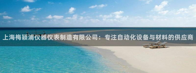 cq9电子官方：上海梅颖浦仪器仪表制造有限公司：专注自动化设