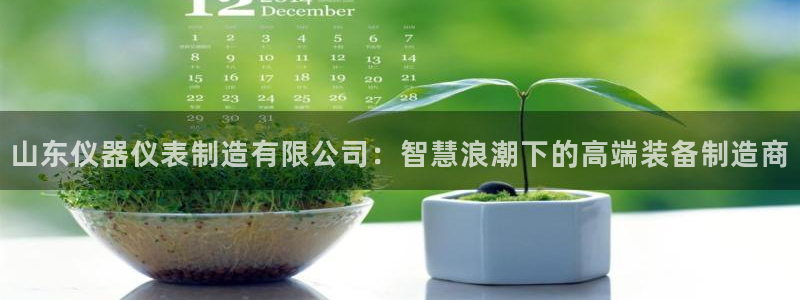 电子cq9幸运：山东仪器仪表制造有限公司：智慧浪潮下的高端装