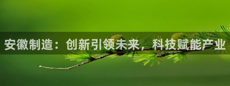 cq9电子开户注册平台：安徽制造：创新引领未来，科技赋能产业