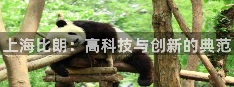 cq9电子评测：上海比朗：高科技与创新的典范