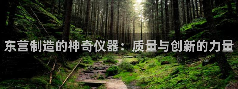 cq9电子传说：东营制造的神奇仪器：质量与创新的力量