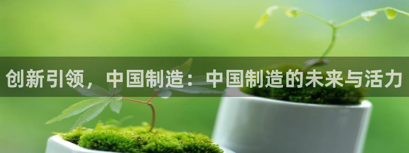 传奇电子舞cq9：创新引领，中国制造：中国制造的未来与活力