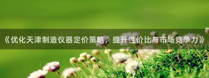cq9电子官方app：《优化天津制造仪器定价策略，提升性价比
