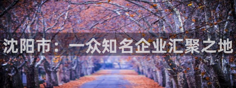 CQ9 传奇电子：沈阳市：一众知名企业汇聚之地