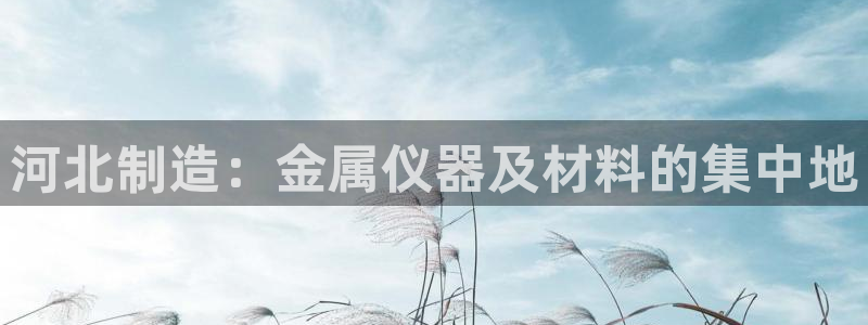 cq9电子游戏公司：河北制造：金属仪器及材料的集中地