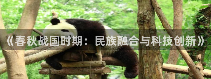 电子cq9玩法技巧：《春秋战国时期：民族融合与科技创新》