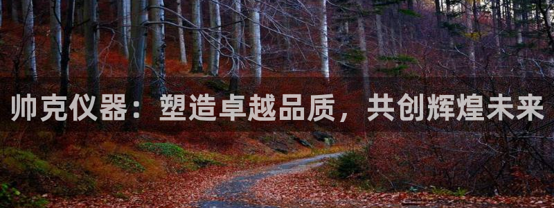 CQ9电子 app：帅克仪器：塑造卓越品质，共创辉煌未来