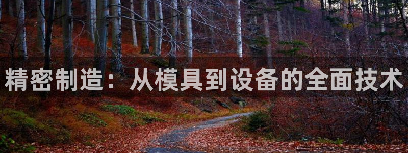 cq9电子怎么赢钱：精密制造：从模具到设备的全面技术