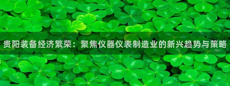 cq9电子游艺平台：贵阳装备经济繁荣：聚焦仪器仪表制造业的新