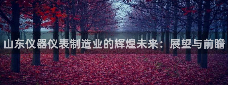 cq9电子高爆平台：山东仪器仪表制造业的辉煌未来：展望与前瞻