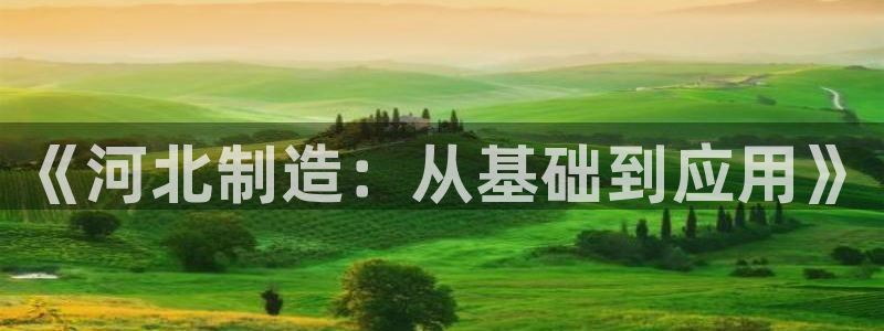 金沙电子cq9：《河北制造：从基础到应用》