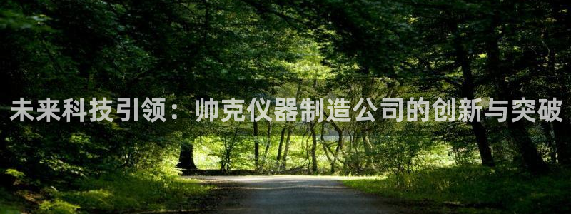 cq9传奇电子跳更高：未来科技引领：帅克仪器制造公司的创新与