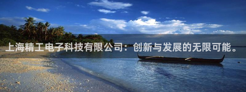 cq9电子游戏龙舟：上海精工电子科技有限公司：创新与发展的无