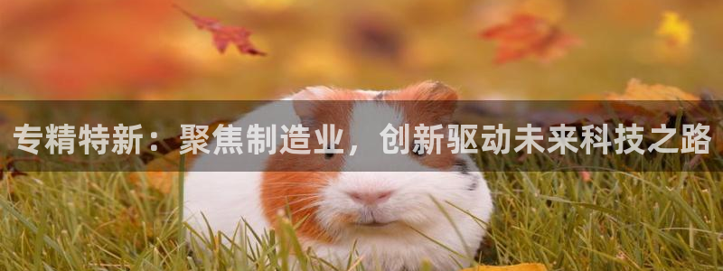 正规cq9电子：专精特新：聚焦制造业，创新驱动未来科技之路