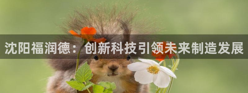 cq9电子跳过来：沈阳福润德：创新科技引领未来制造发展