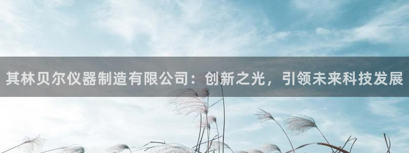 cq9电子爆分：其林贝尔仪器制造有限公司：创新之光，引领未来