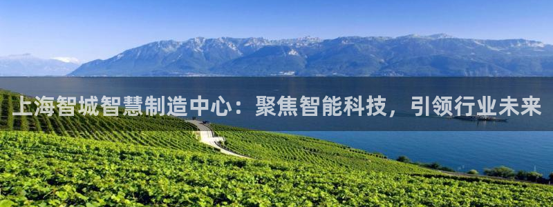 cq9电子足球宝贝：上海智城智慧制造中心：聚焦智能科技，引领