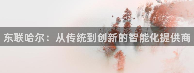 传奇cq9电子游艺：东联哈尔：从传统到创新的智能化提供商