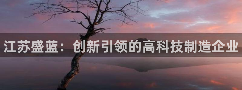 cq9传奇电子跳：江苏盛蓝：创新引领的高科技制造企业