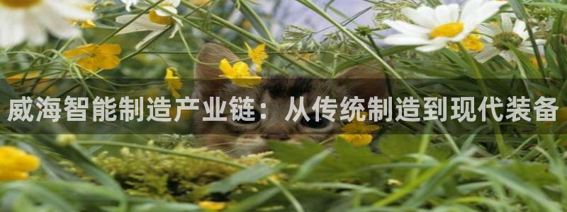 传祺电子cq9怎么使用：威海智能制造产业链：从传统制造到现代