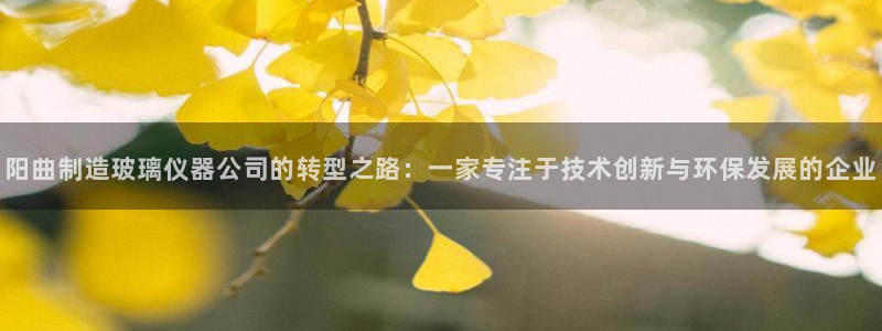 平台突然cq9电子维护：阳曲制造玻璃仪器公司的转型之路：一家