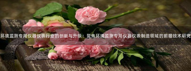 cq9电子优惠：环境监测专用仪器仪表行业的创新与升级：聚焦环