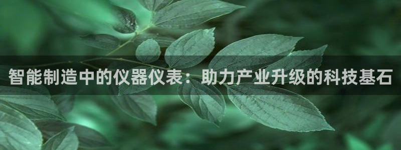 传奇电子cq9体验试玩：智能制造中的仪器仪表：助力产业升级的
