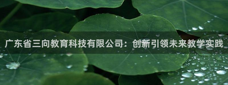 cq9电子彩虹：广东省三向教育科技有限公司：创新引领未来教学
