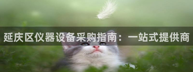 电子cq9规则：延庆区仪器设备采购指南：一站式提供商