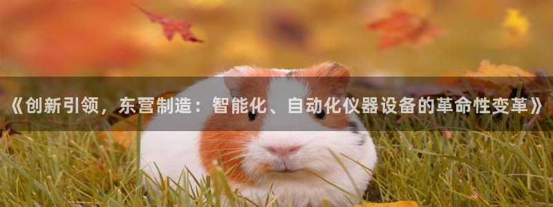 cq9传奇电子跳高高：《创新引领，东营制造：智能化、自动化仪