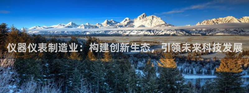 cq9电子维护后：仪器仪表制造业：构建创新生态，引领未来科技