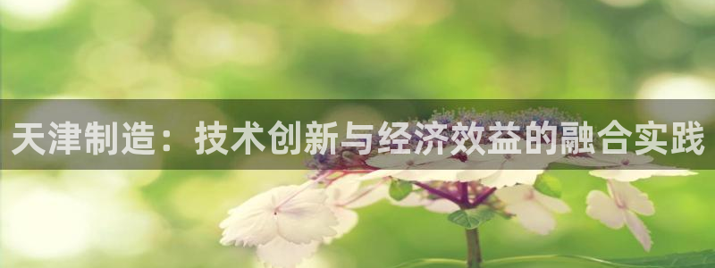 cq9电子下载：天津制造：技术创新与经济效益的融合实践