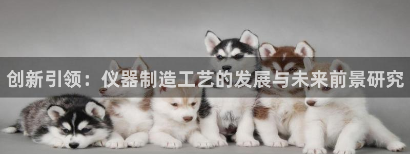 cq9电子宙斯大奖图片：创新引领：仪器制造工艺的发展与未来前