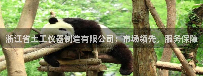 cq9电子是什么：浙江省土工仪器制造有限公司：市场领先，服务