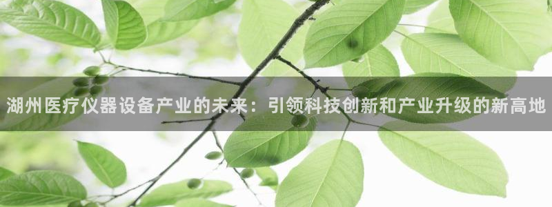 cq9电子游艺辅助器：湖州医疗仪器设备产业的未来：引领科技创