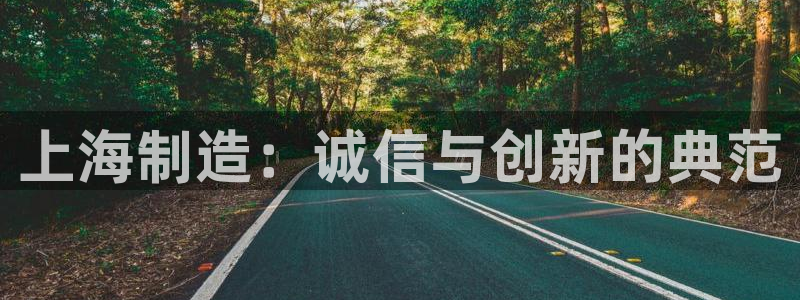 cq9电子游戏1945：上海制造：诚信与创新的典范