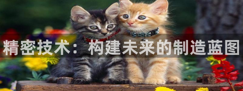 cq9电子官网词典：精密技术：构建未来的制造蓝图