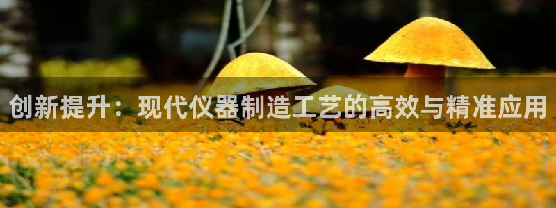 CQ9电子什么意思：创新提升：现代仪器制造工艺的高效与精准应